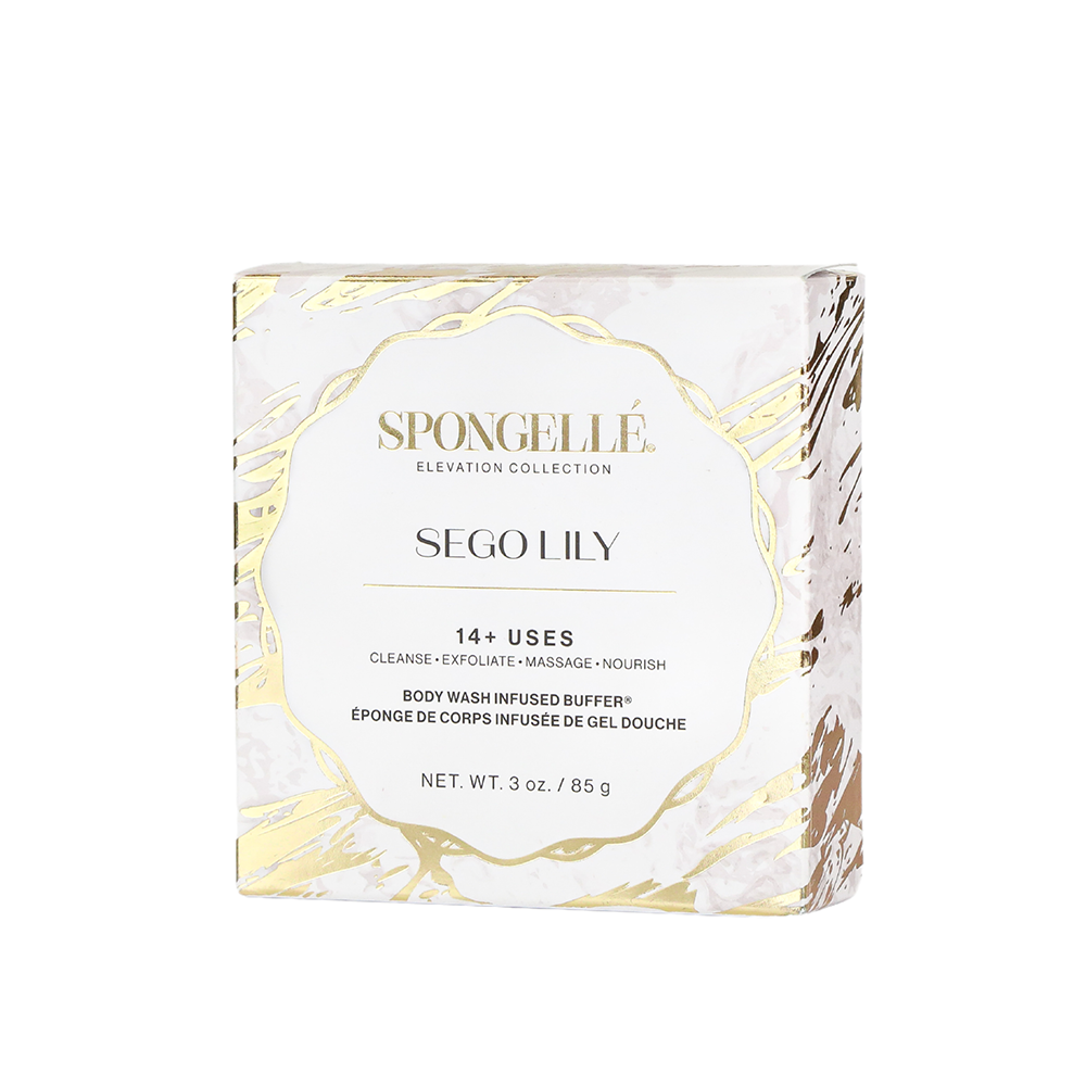 Sego Lily | Elevation Boxed Flower - Concordia Style Boutique