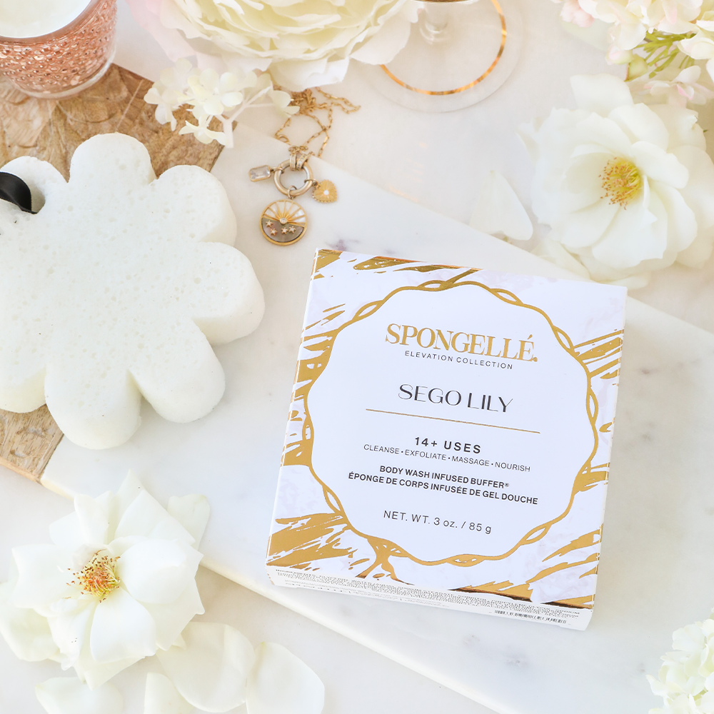 Sego Lily | Elevation Boxed Flower - Concordia Style Boutique