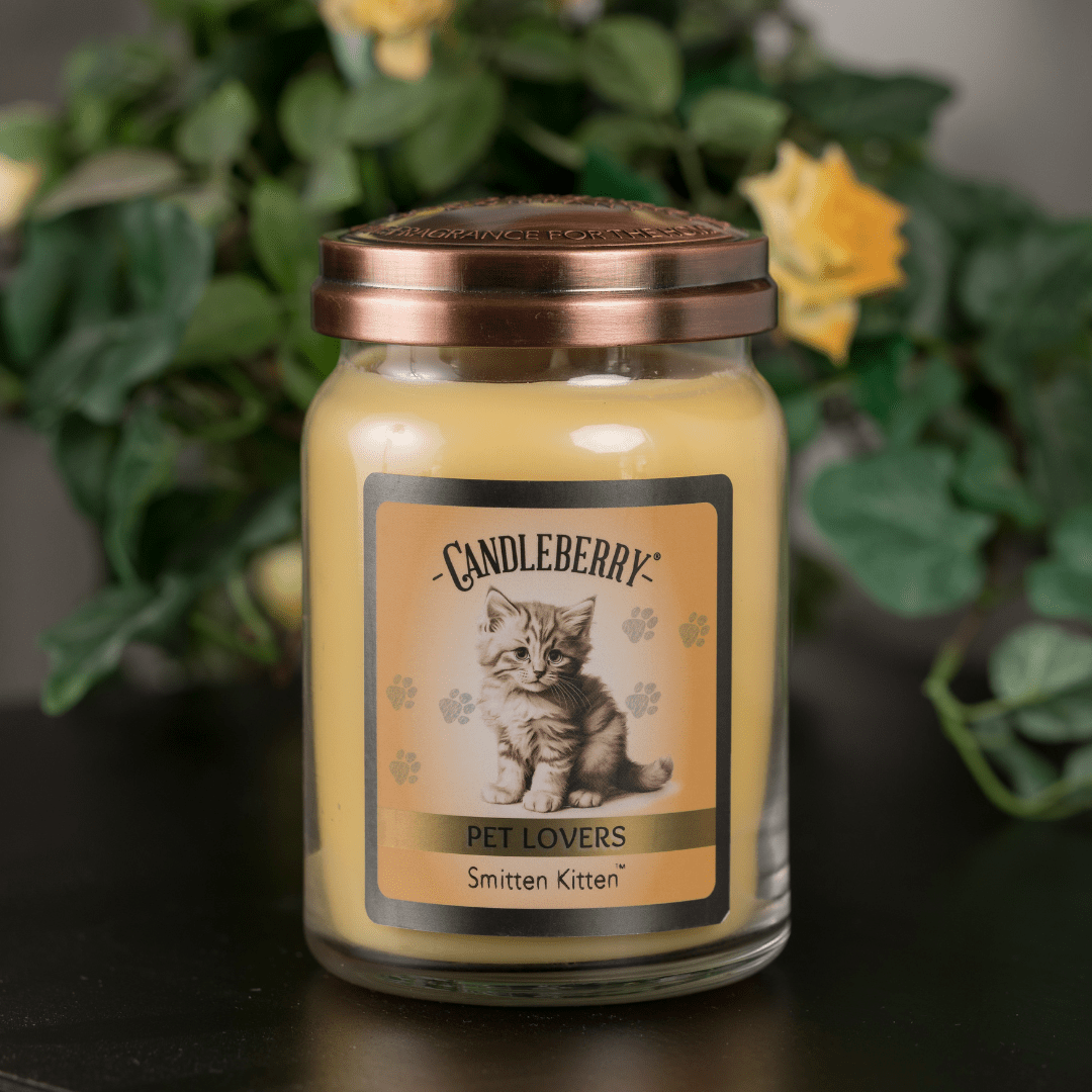 Smitten Kitten - Large Jar Candle (Collective) - Concordia Style Boutique