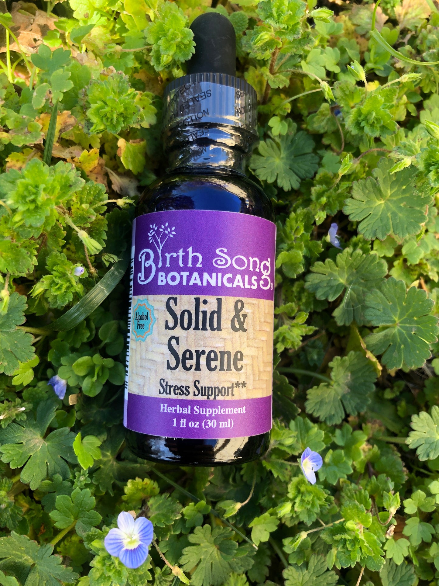 Solid & Serene Herbal Tincture For Natural Stress Support* with Passionflower 1 oz. - Concordia Style Boutique