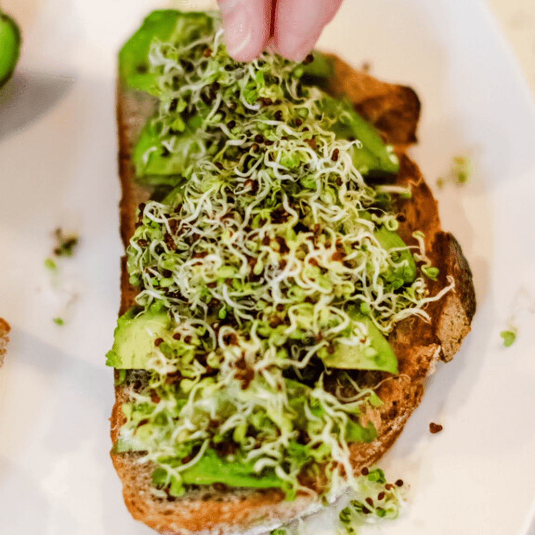Sprout Spout Broccoli Starter Kit: Sprout Spout + 4oz or 1lb seeds + Free Sprout Scoop - Concordia Style Boutique