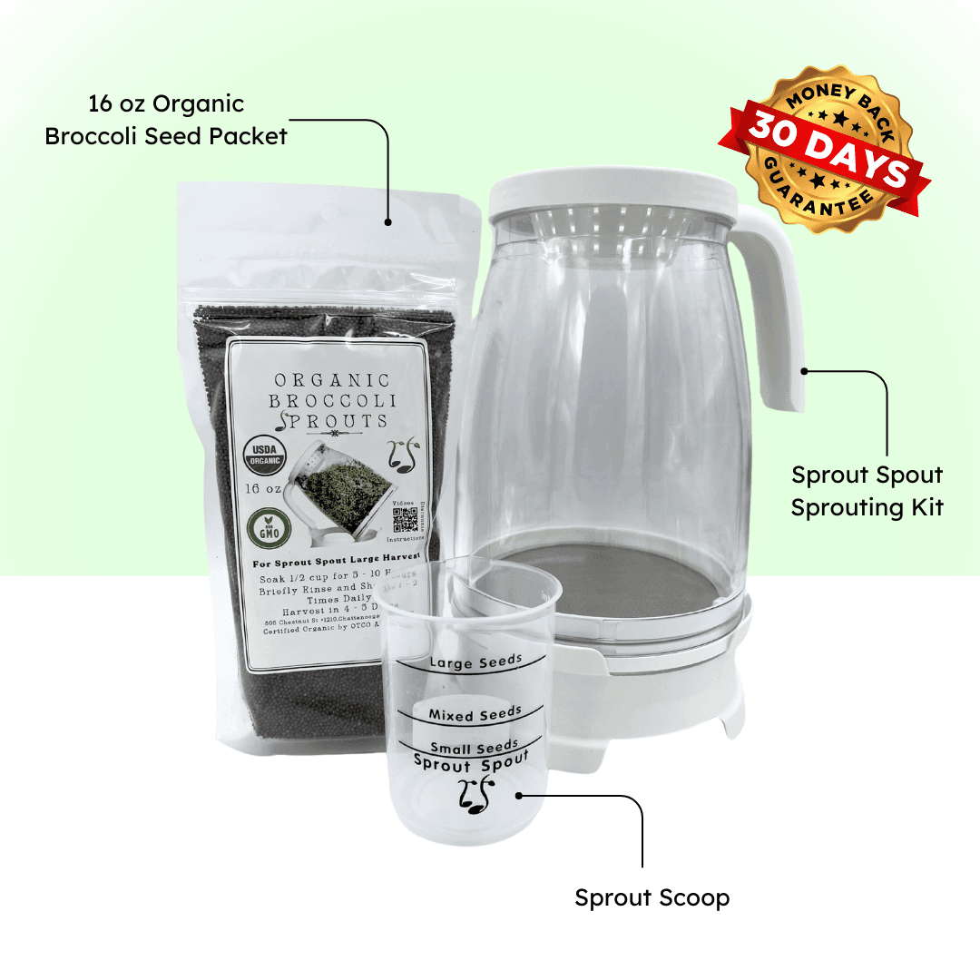 Sprout Spout Broccoli Starter Kit: Sprout Spout + 4oz or 1lb seeds + Free Sprout Scoop - Concordia Style Boutique