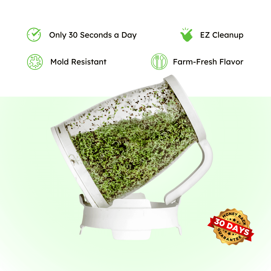 Sprout Spout Fenugreek Starter Kit: Sprout Spout + 4oz or 1lb seeds + Free Sprout Scoop - Concordia Style Boutique