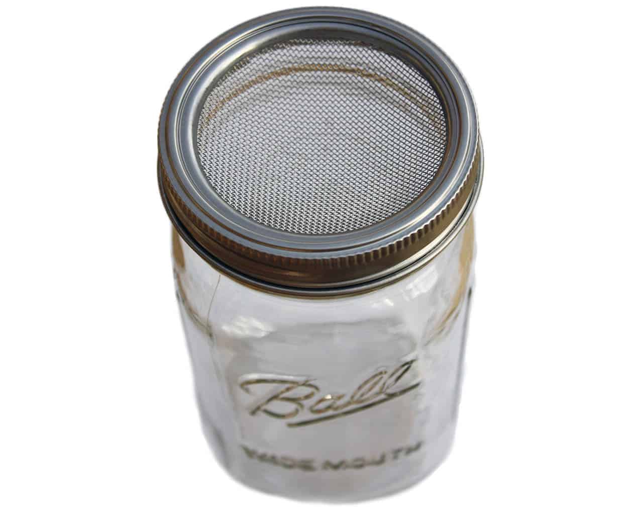 Curved Rust Proof Sprouting Lid and Band for Mason Jars - Concordia Style Boutique