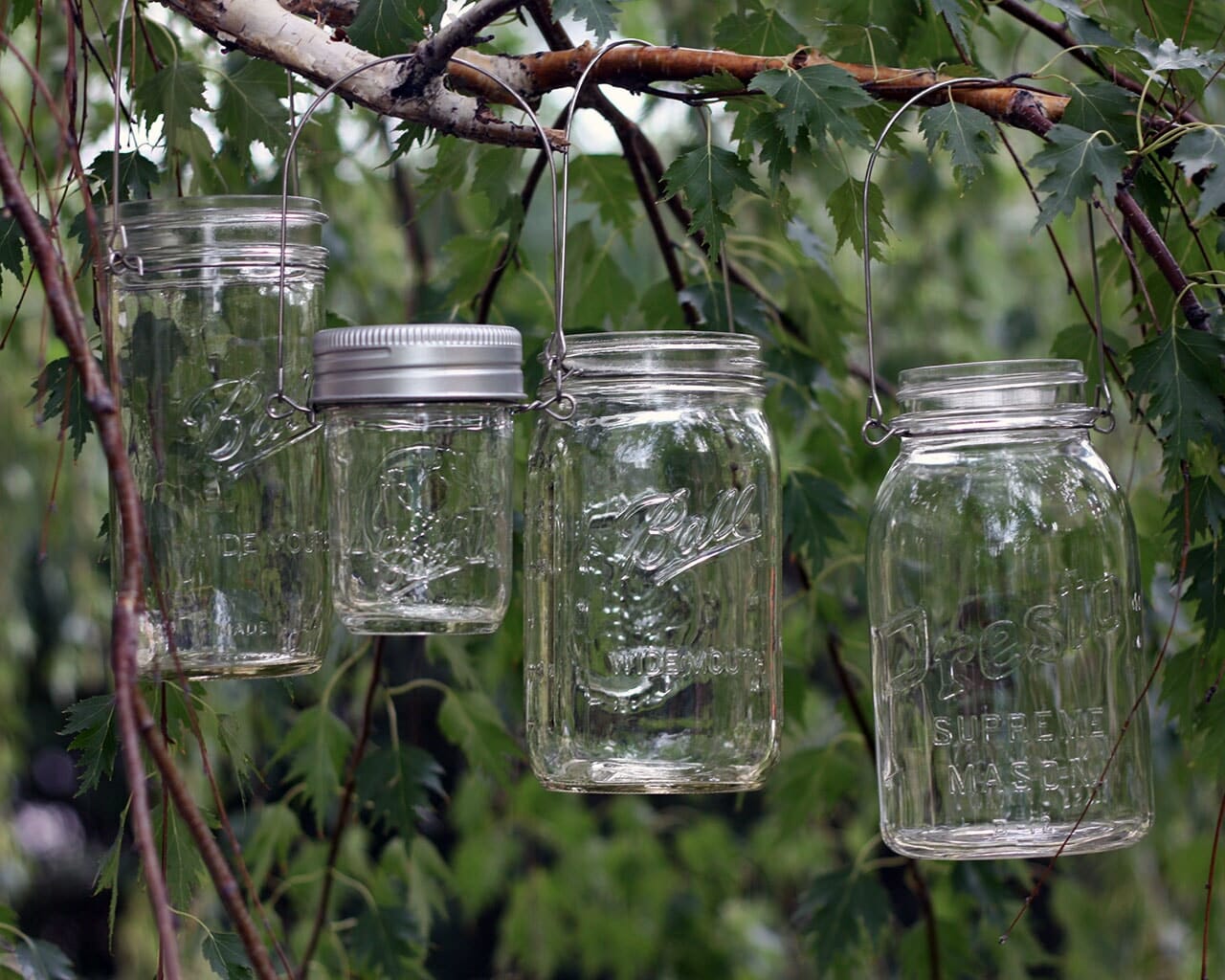 Stainless Steel Wire Handles for Mason Jars 6 Pack - Concordia Style Boutique