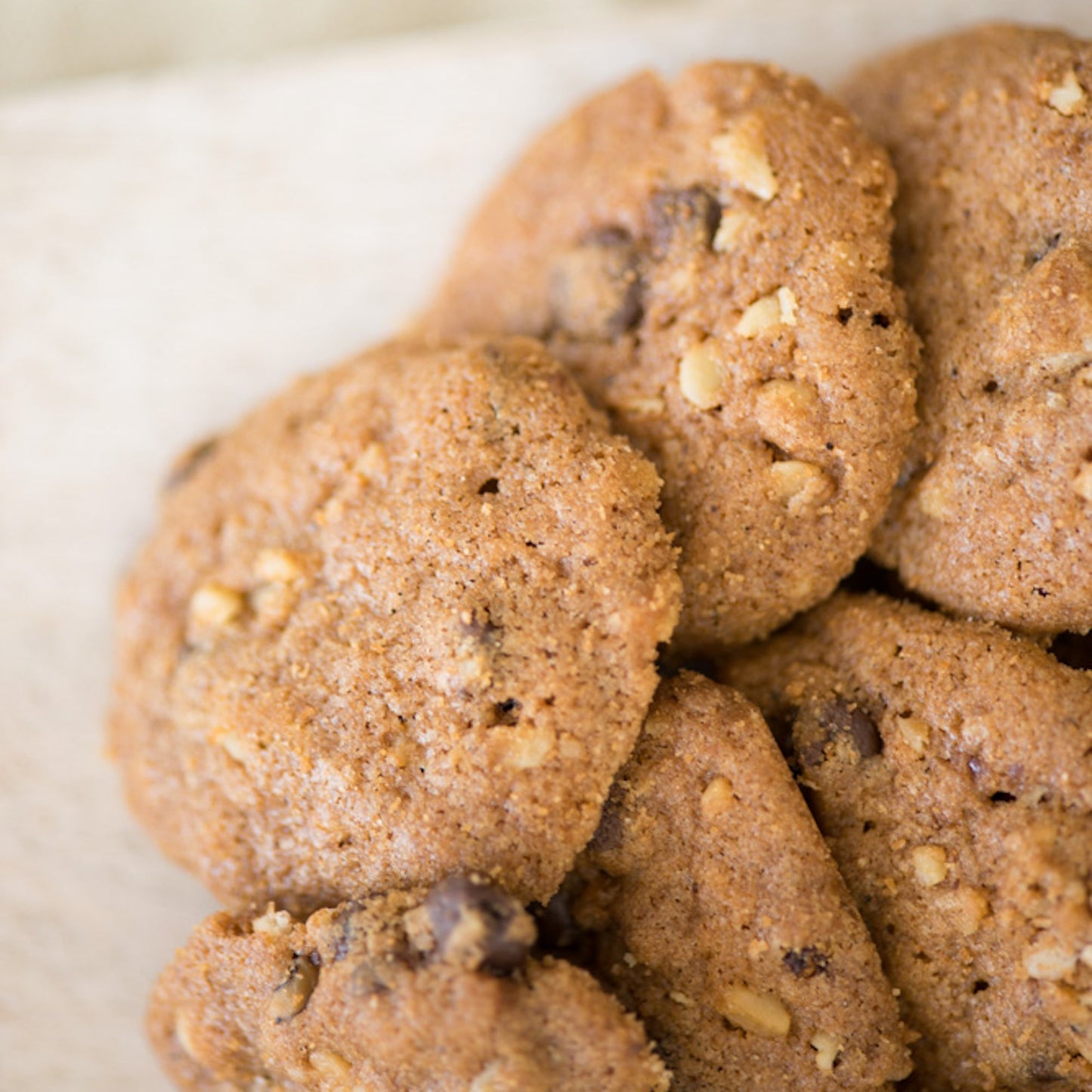Macadamia Chocolate Chip - Concordia Style Boutique