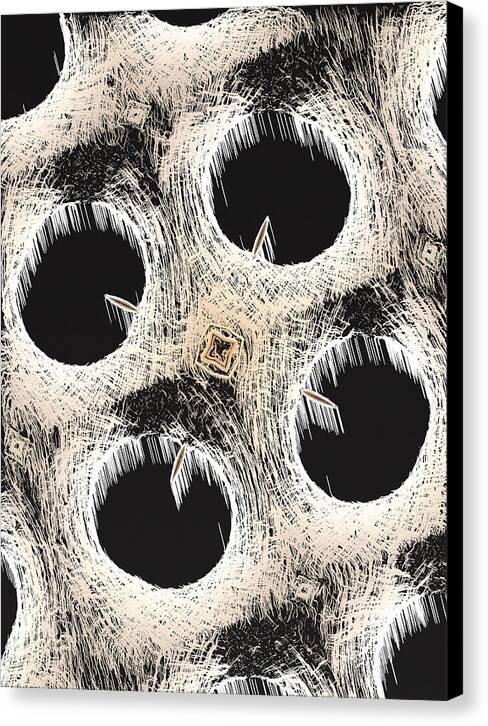 The Voids - Canvas Print