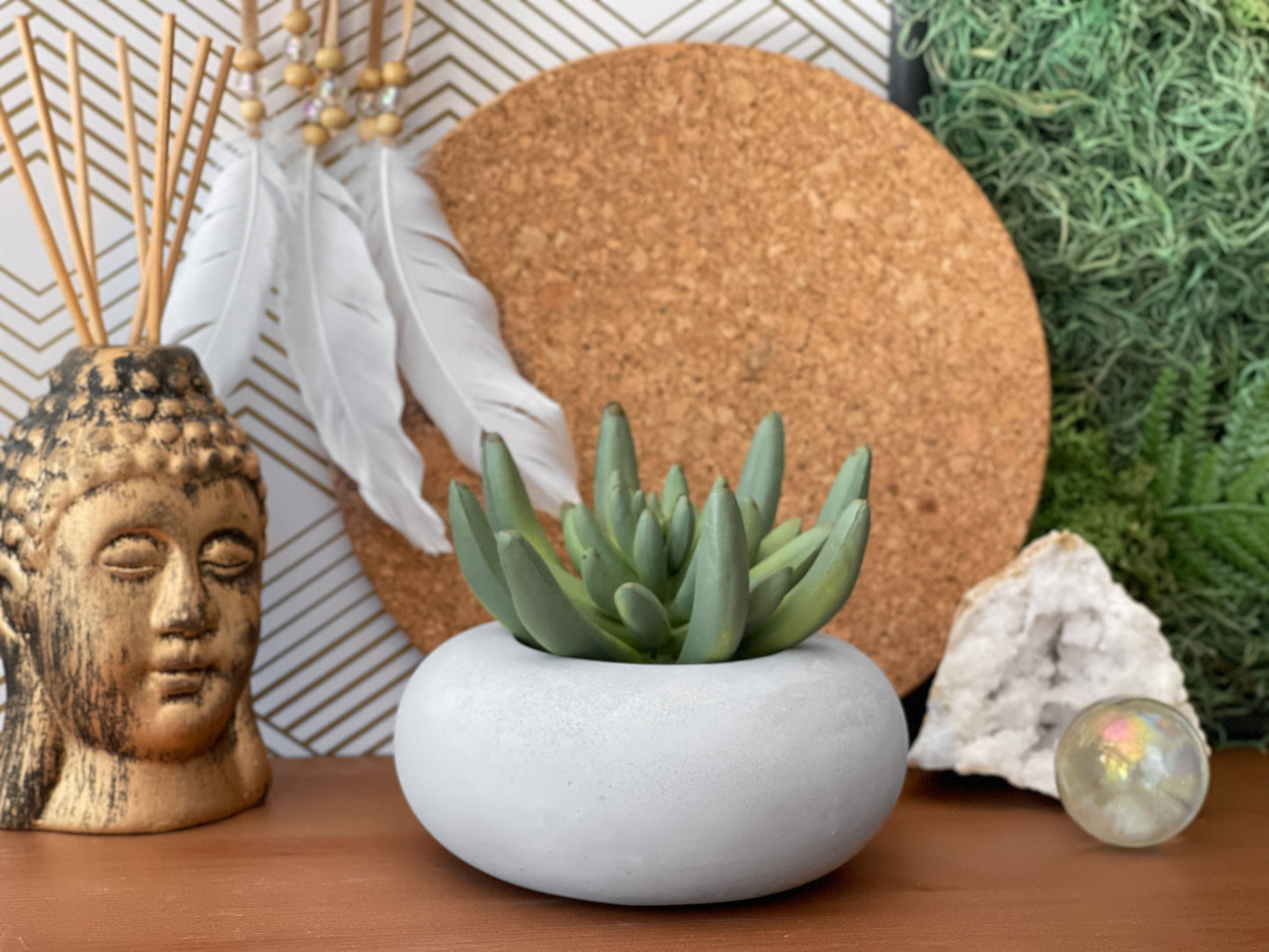 Perfect Succulent Planter - Concordia Style Boutique