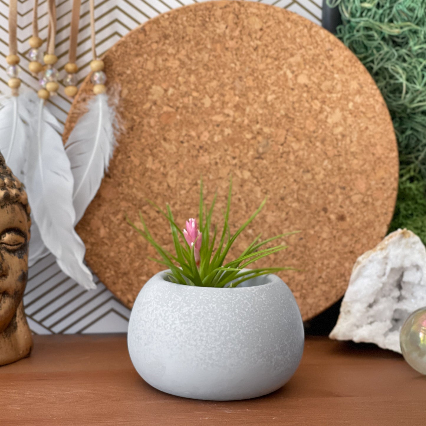 Mini Succulent Planter | Air Plant Holder - Concordia Style Boutique