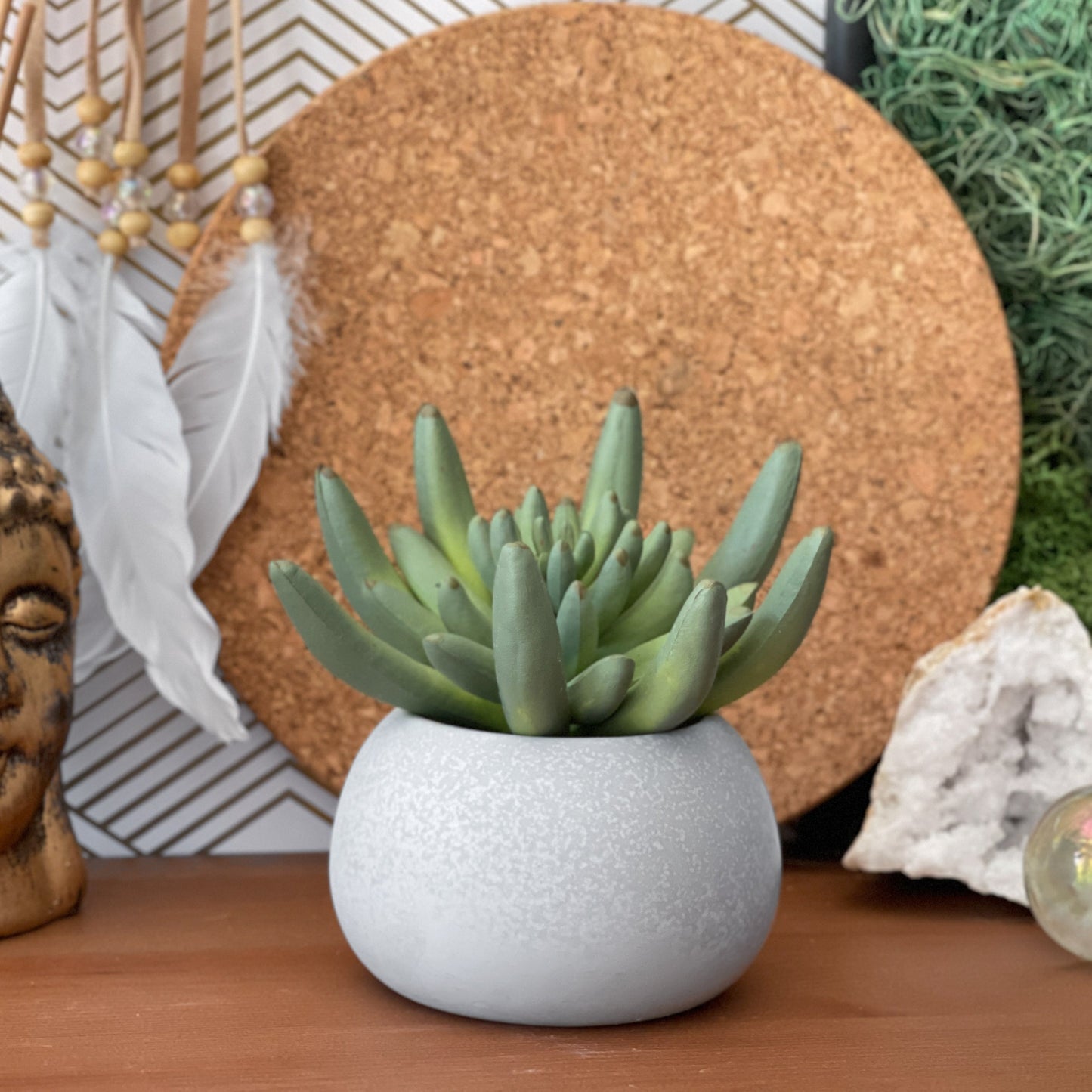 Mini Succulent Planter | Air Plant Holder - Concordia Style Boutique