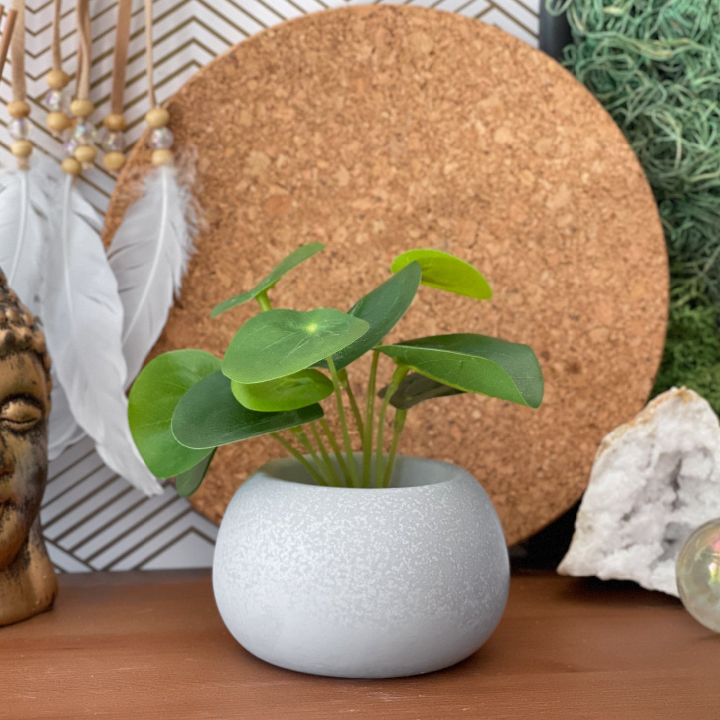 Mini Succulent Planter | Air Plant Holder - Concordia Style Boutique