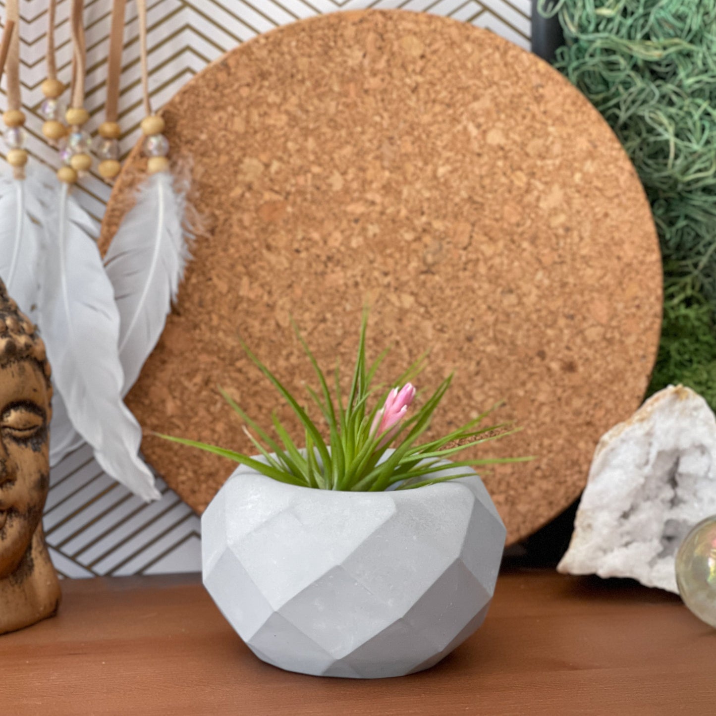 Geometric Air Plant Holder - Concordia Style Boutique