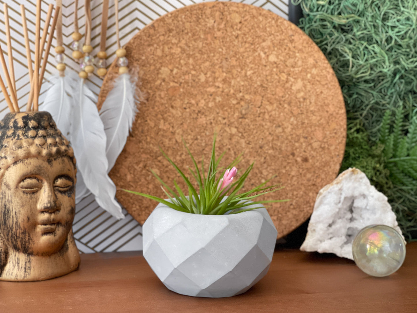Geometric Air Plant Holder - Concordia Style Boutique