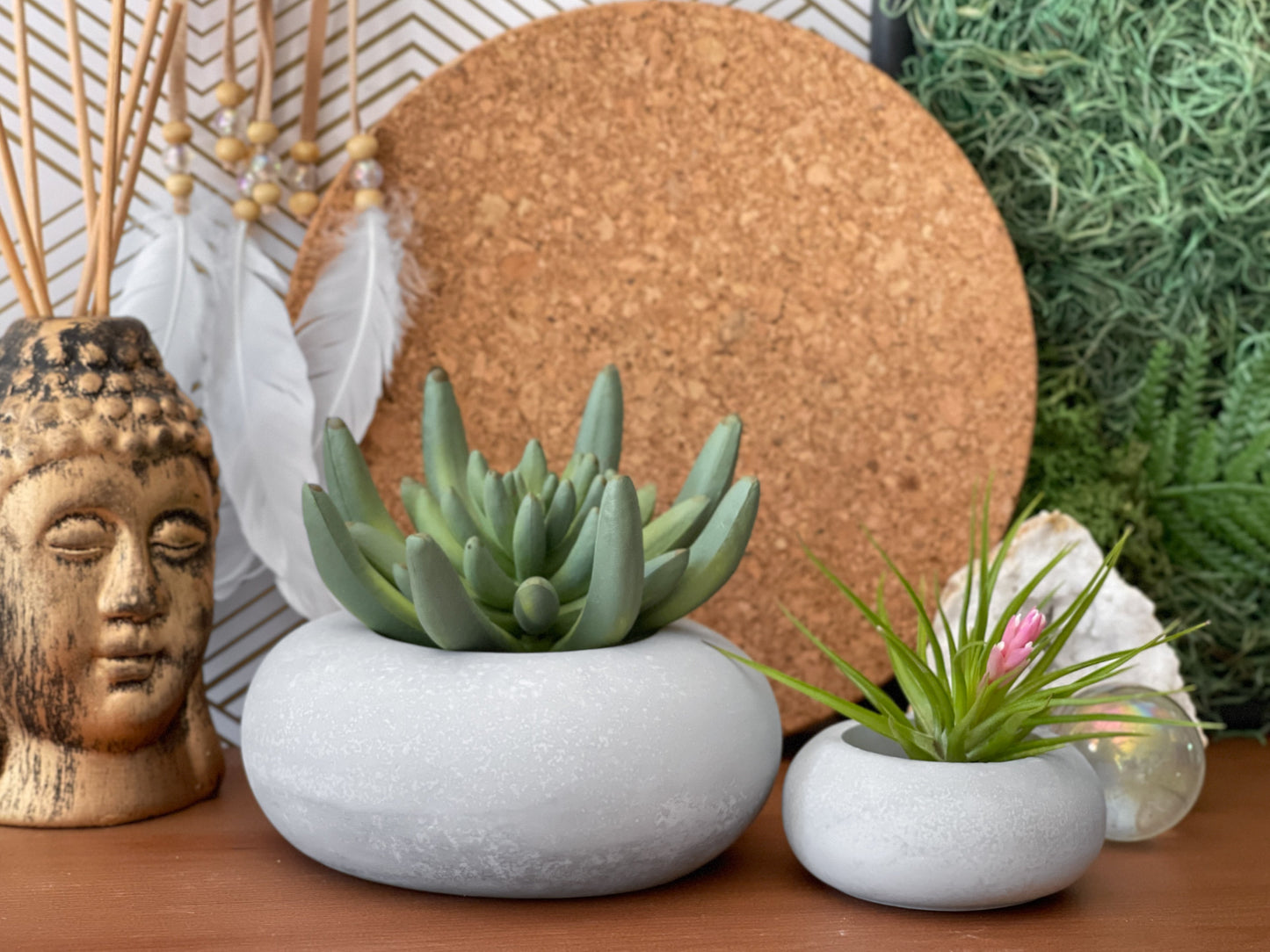 Modern Air Plant Holder - Concordia Style Boutique