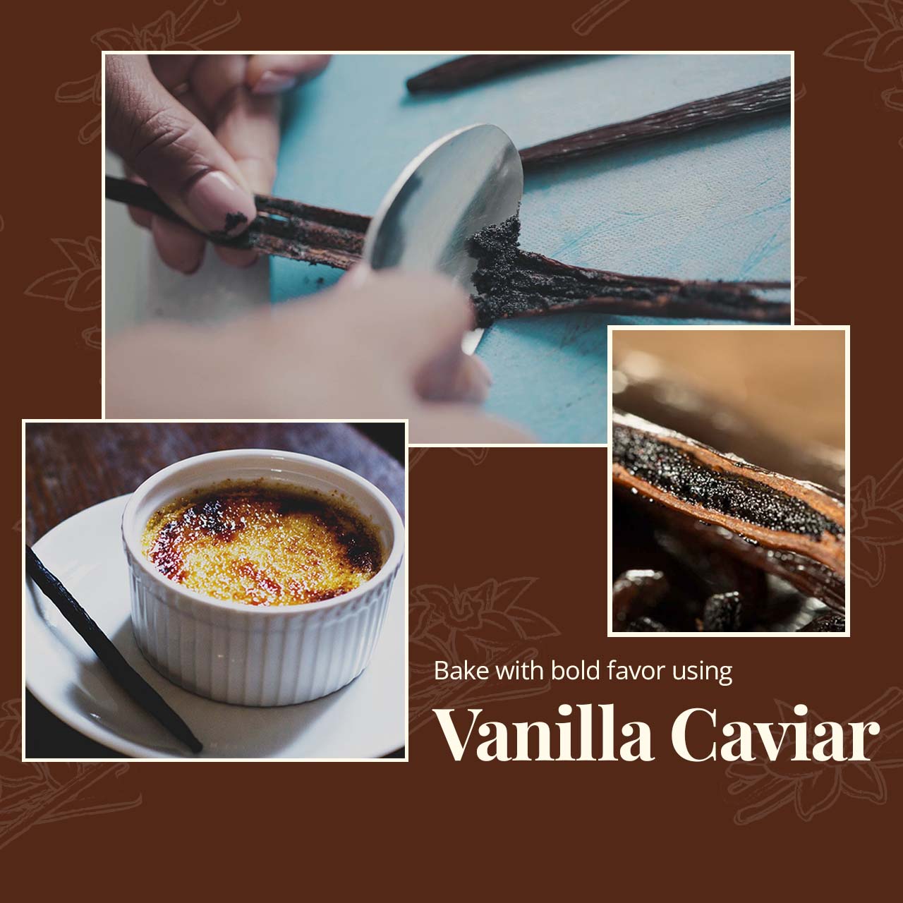 Whole Bulk Vanilla Beans - Order - NON GMO Gourmet Vanilla Pods 6 - 8 Inches For making Baking Whole Premium Vanilla Beans Grade A by New York Vanilla