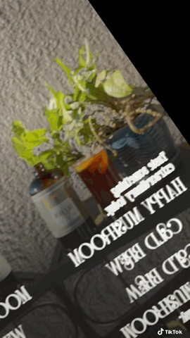 Happy Mushroom concentrated Cold Brew coffee - Concordia Style Boutique