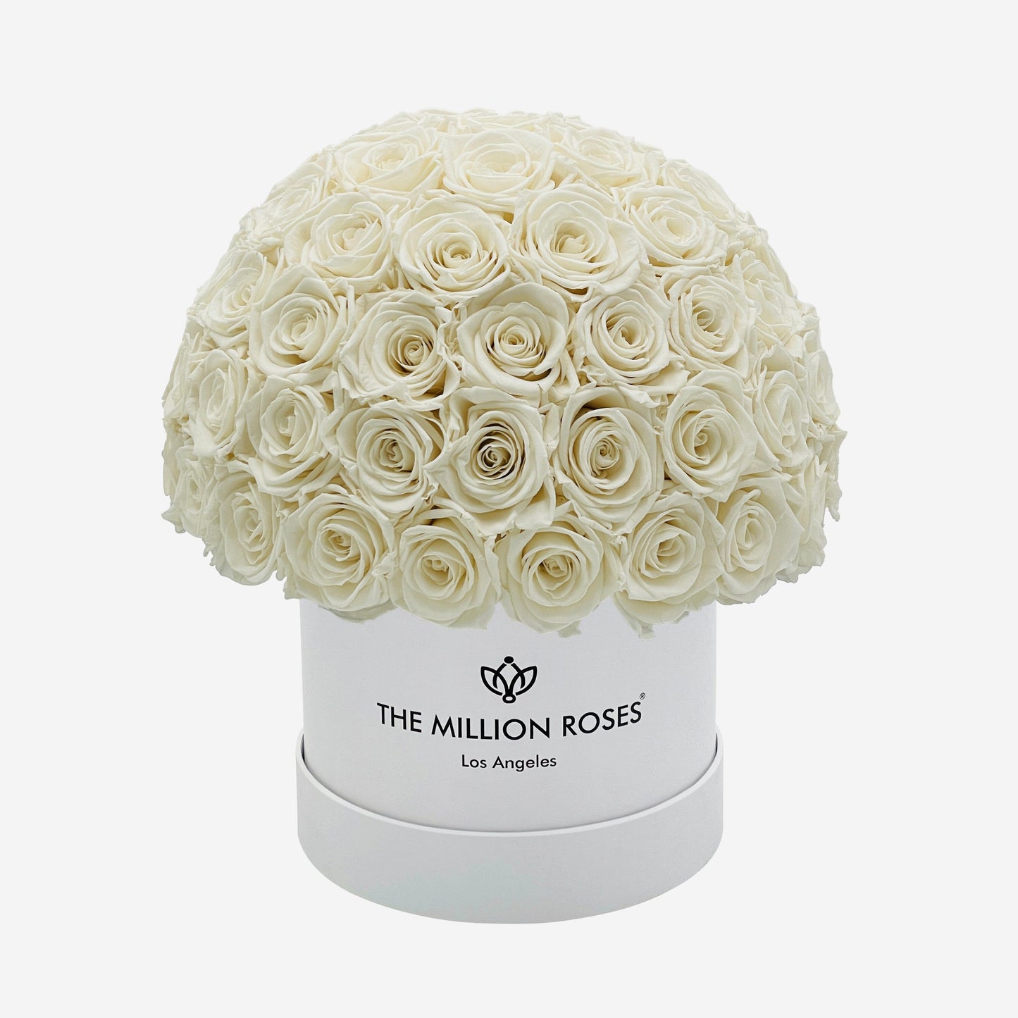 Classic White Superdome Box | White Roses