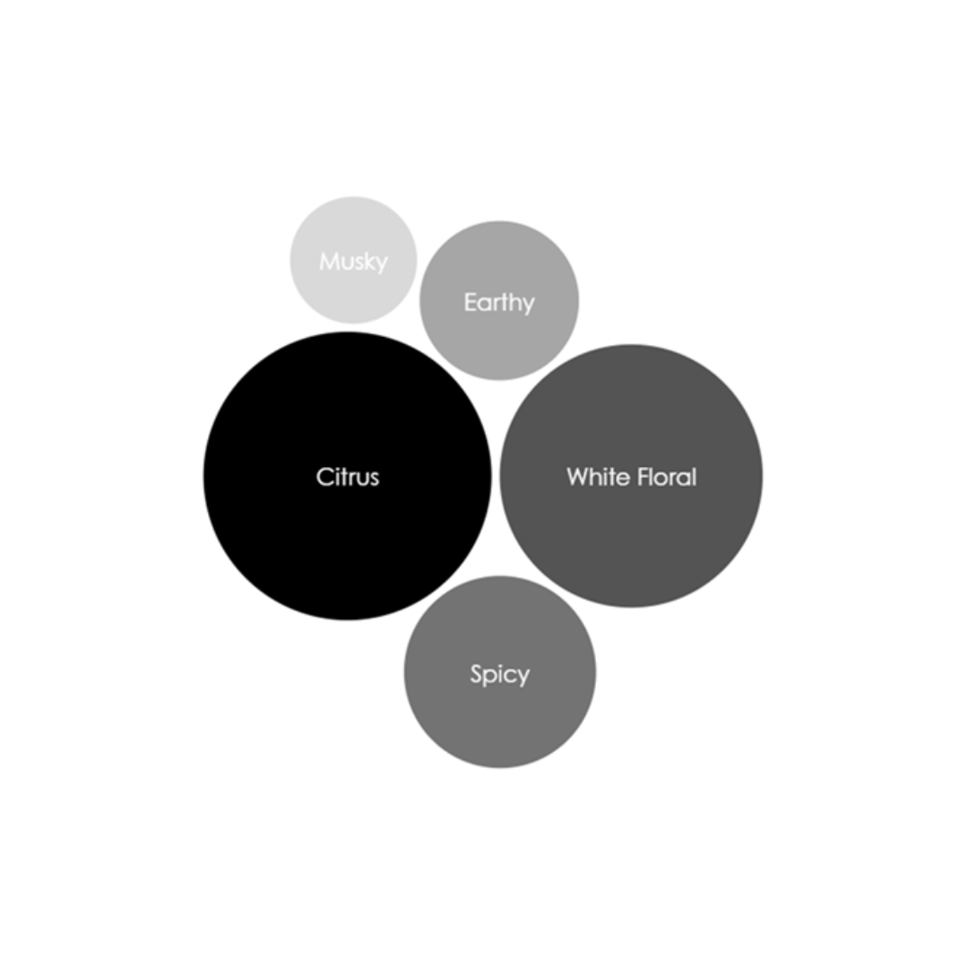 Moroccan Azahar Reed Diffuser - Concordia Style Boutique