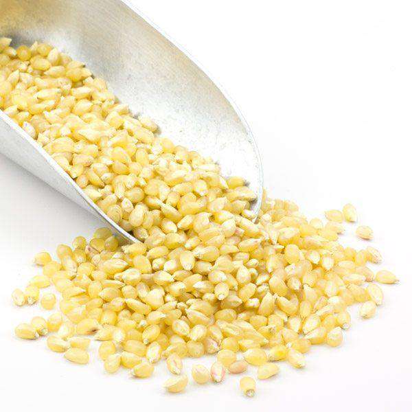 Popcorn, White - Concordia Style Boutique