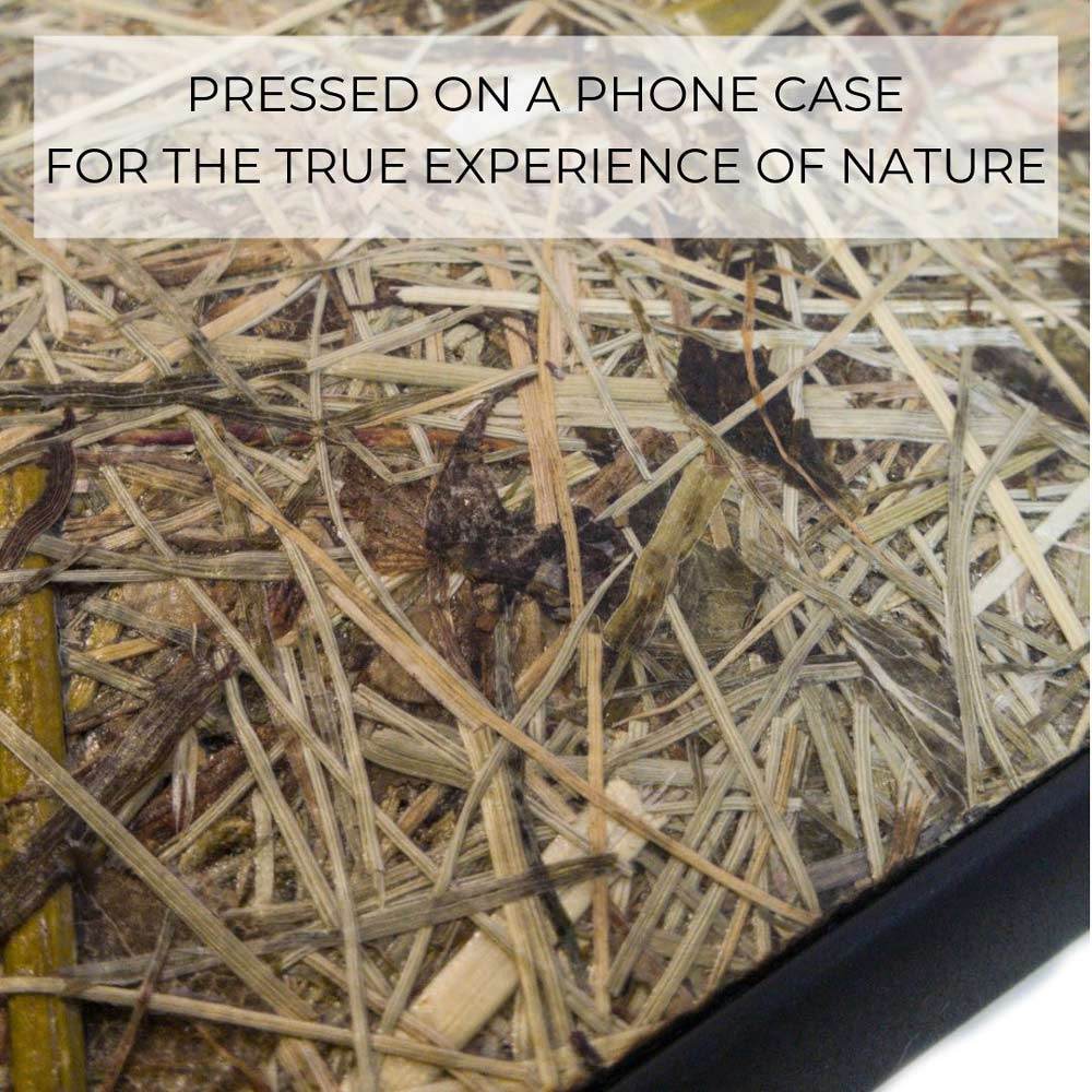 Organic Case - Alpine Hay - Concordia Style Boutique