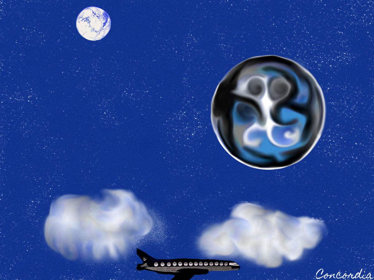 Night Flight - Concordia Style Boutique