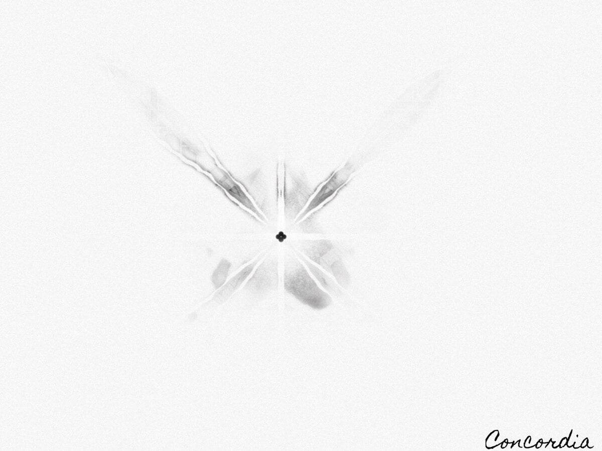 The Light - Concordia Style Boutique