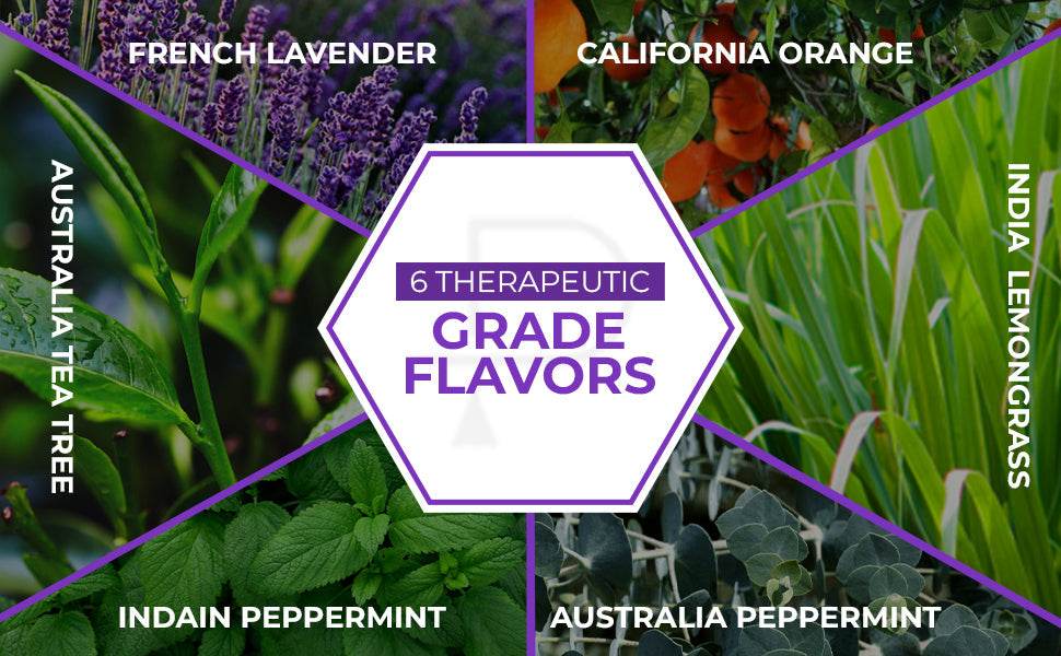 Essential Oils by PURE AROMA 100% Pure Oils kit- Top 6 Aromatherapy Oils Gift Set-6 Pack, 10ML(Eucalyptus, Lavender, Lemon Grass, Orange, Peppermint, Tea Tree) - Concordia Style Boutique