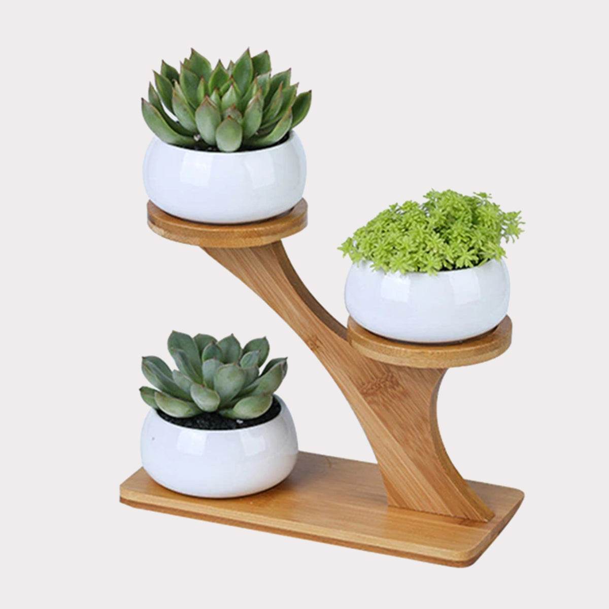 Succulent Pots & Bamboo Shelf - Concordia Style Boutique