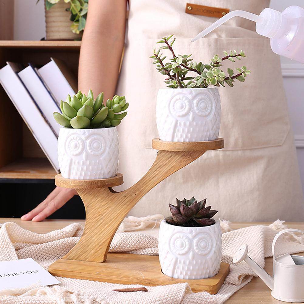 Succulent Pots & Bamboo Shelf - Concordia Style Boutique
