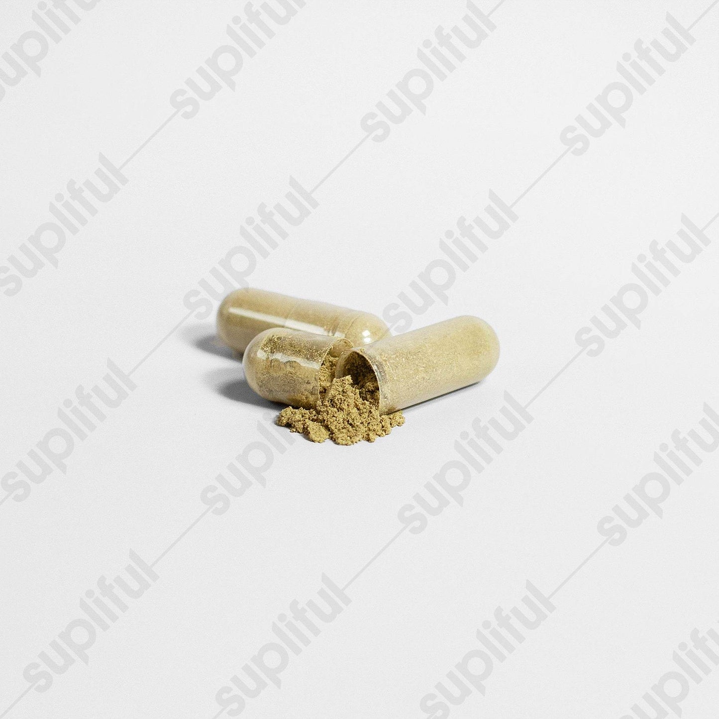 Ginkgo Biloba + Ginseng - Concordia Style Boutique