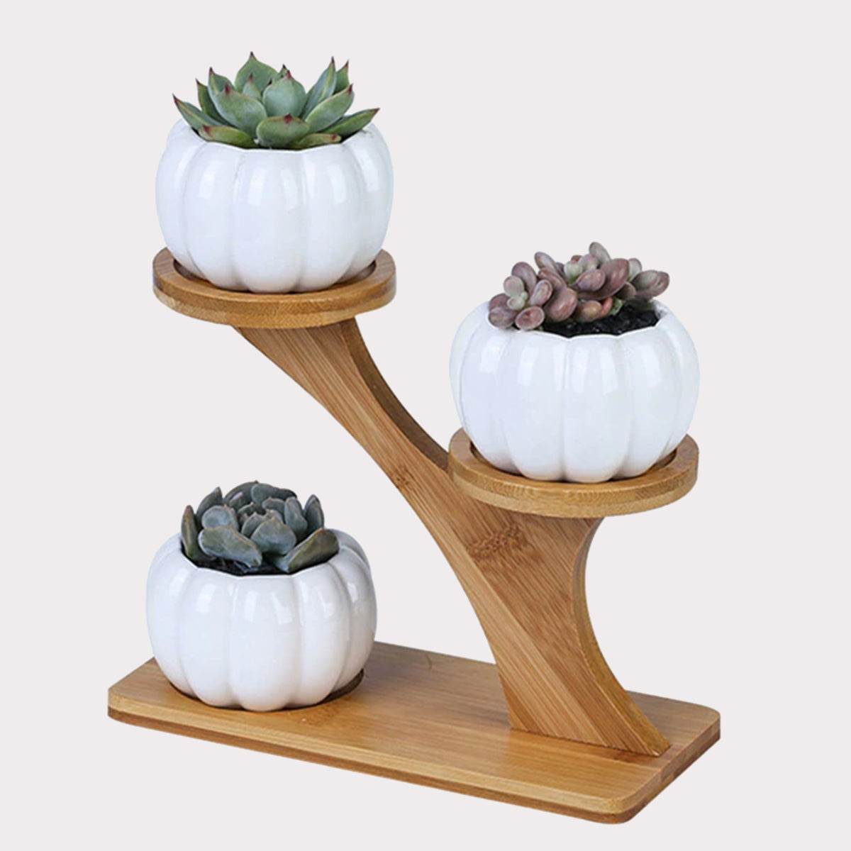Succulent Pots & Bamboo Shelf - Concordia Style Boutique