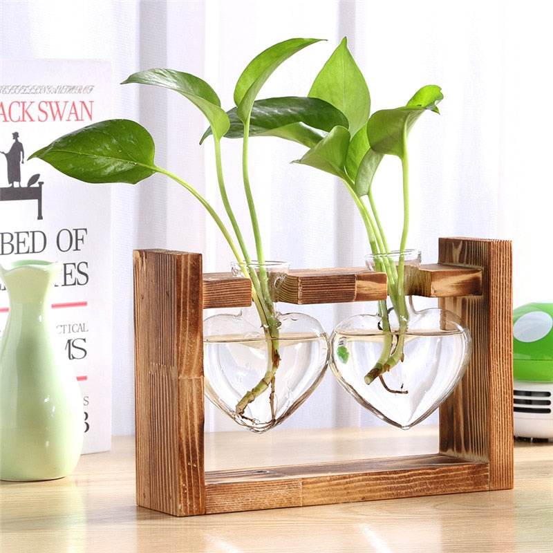 Glass and Wood Vase Planter Table Desktop - Concordia Style Boutique