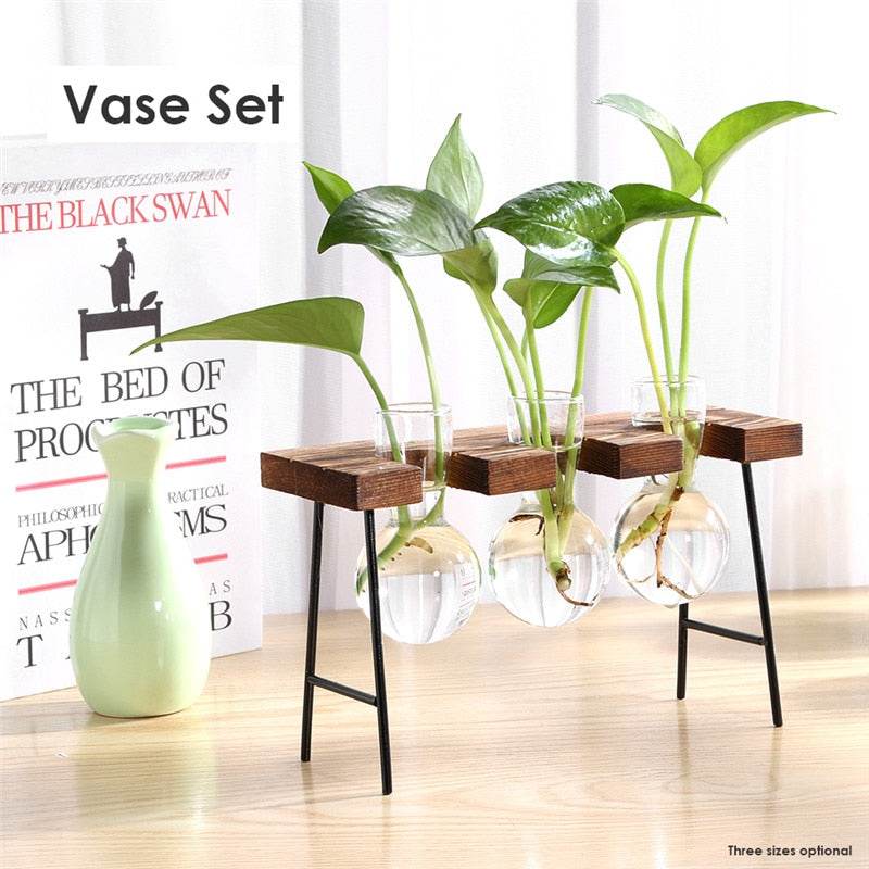 Glass and Wood Vase Planter Table Desktop - Concordia Style Boutique