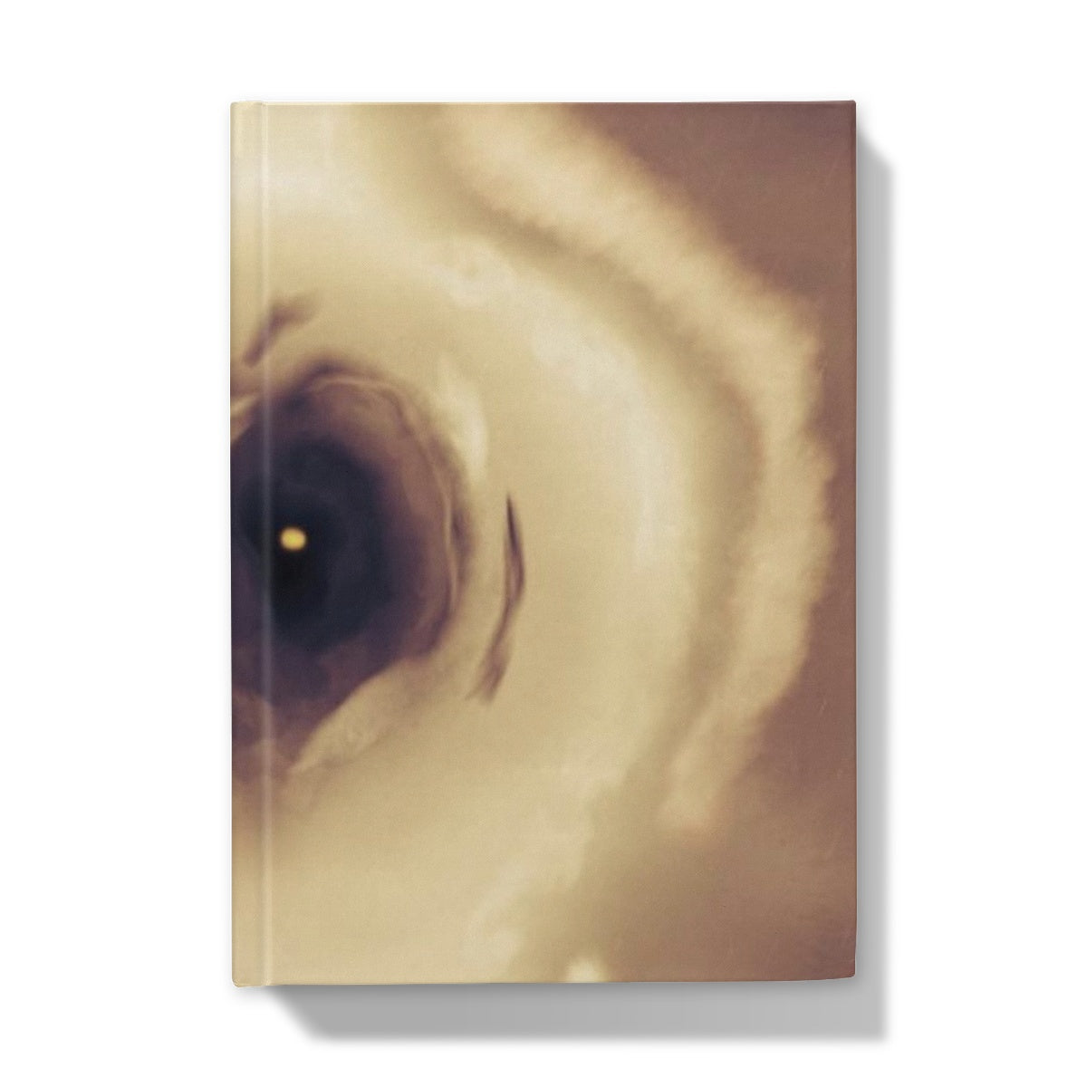 Eye Hardback Journal