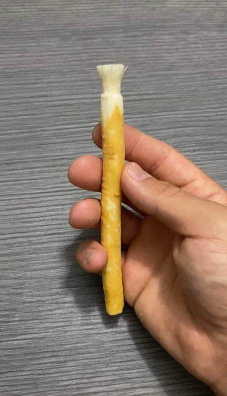 Golden Miswak Sticks for Teeth, MAY Sewak Toothbrush, Natural Toothbrush for Whiter Teeth, Lightweight Wood Brush for Healthy Gums, Muslim Tooth Stick, Condensed Miswak Extract, Yellow - Concordia Style Boutique