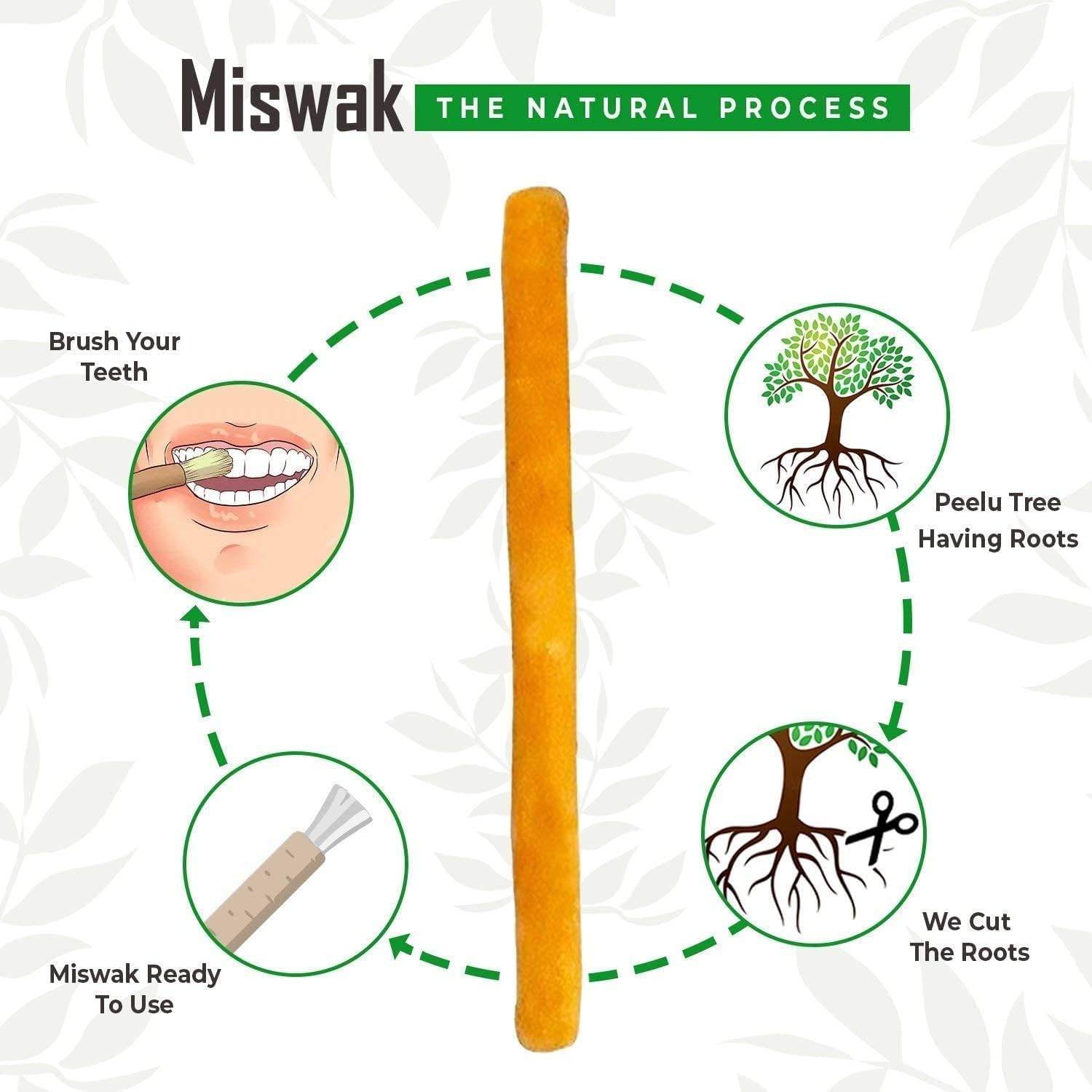 Golden Miswak Sticks for Teeth, MAY Sewak Toothbrush, Natural Toothbrush for Whiter Teeth, Lightweight Wood Brush for Healthy Gums, Muslim Tooth Stick, Condensed Miswak Extract, Yellow - Concordia Style Boutique