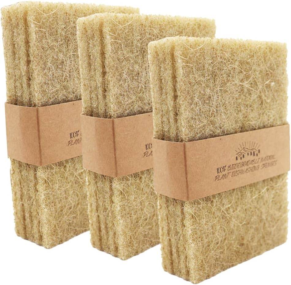 Natural Scouring Pads 10 Pack- Dish Scrubber Non-Scratch Sisal Cleaning Scrub Pads, Eco-Friendly Glass Coconut Fiber Kitchen Scrubbers for Pans and Pots, Compostable, Biodegradable (10 Pack) - Concordia Style Boutique