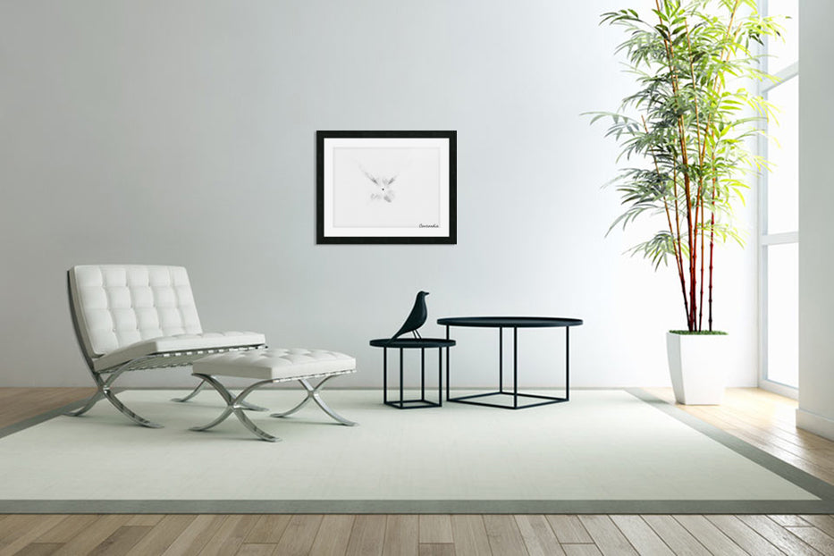 Surprise - Concordia Style Boutique