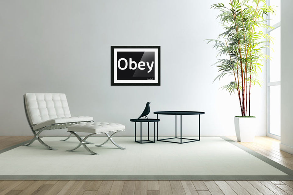 Obey - Art By Concordia - Concordia Style Boutique