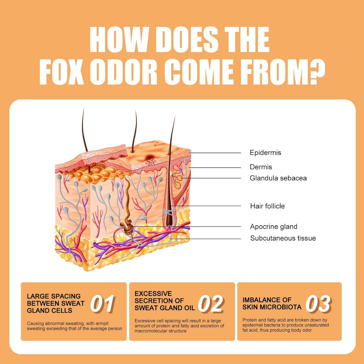 Essentials Deodorant- Orange Citrus- Solid Oval - Made with Natural Deodorizers Whole Body Deodorant - Invisible Cream Stick - 72 Hour Odor Control - Aluminum Free Baking Soda Free Skin Safe - Concordia Style Boutique