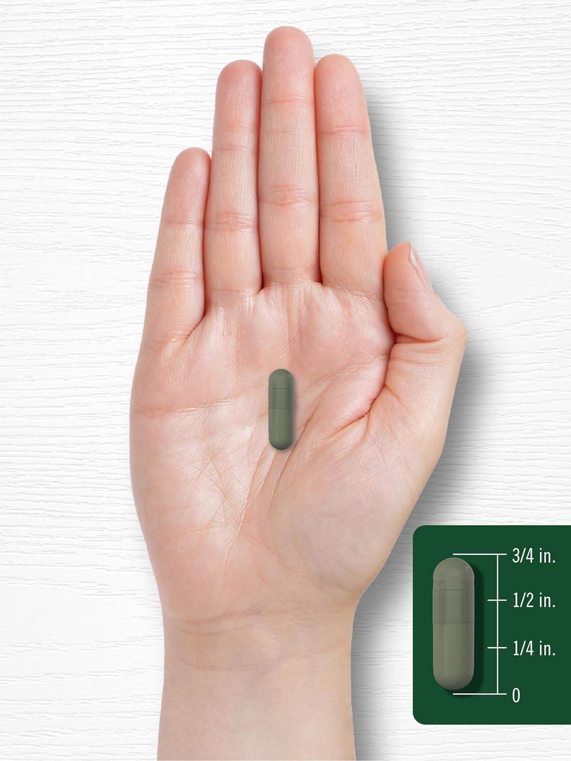 Chlorophyll Pills | 90 Capsules | Naturally Occurring Pigment | Chlorophyll Concentrate Supplement | Non-GMO, Gluten Free Complex - Concordia Style Boutique