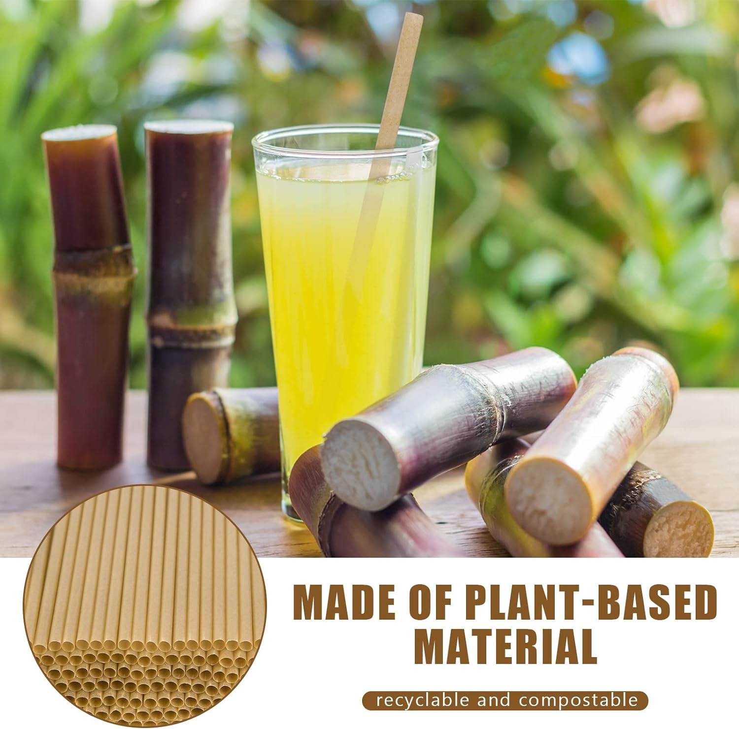 Biodegradable Sugarcane Straws, 200PCS Compostable Biodegradable Drink Straws Disposable Plastic-Free Straws for Hot Cold Drinks - Concordia Style Boutique