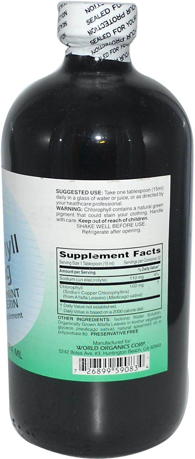 World Organics 58818 Chlorophyll 100 Mg Spearmint - Concordia Style Boutique
