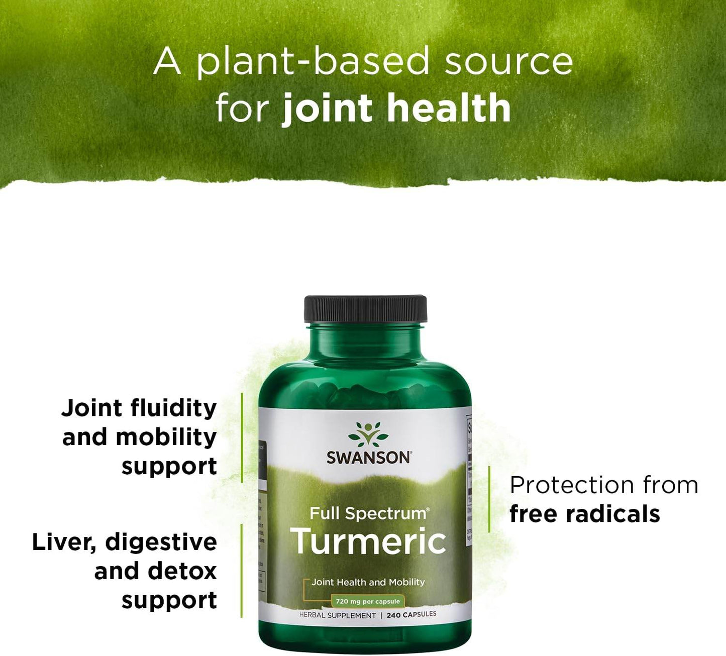 Turmeric Antioxidant, Joint Health, Cardiovascular, Liver Detox, Mood and Memory Support Supplement Curcuma Longa (Rhizome) 720 mg, 240 Capsules, 120 Servings, 1.44 Grams per Serving - Concordia Style Boutique