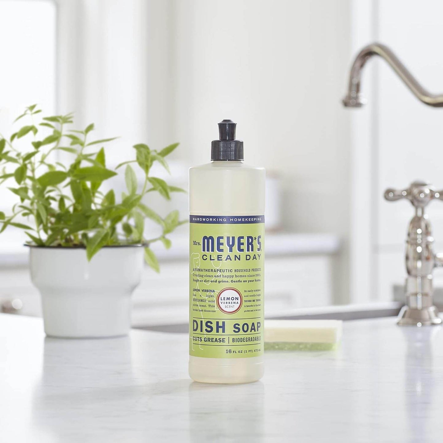Liquid Dish Soap, Biodegradable Formula, Lemon Verbena, 16 fl. oz - Concordia Style Boutique