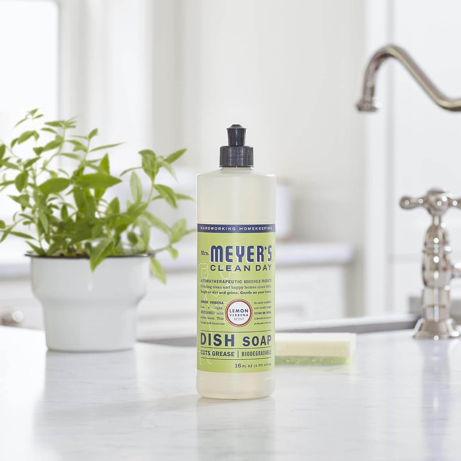 Liquid Dish Soap, Biodegradable Formula, Lemon Verbena, 16 fl. oz - Concordia Style Boutique