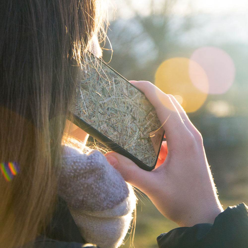 Organic Case - Alpine Hay - Concordia Style Boutique