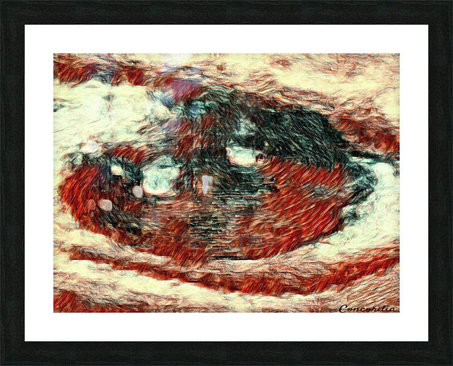 The Eye 10 - Concordia Style Boutique