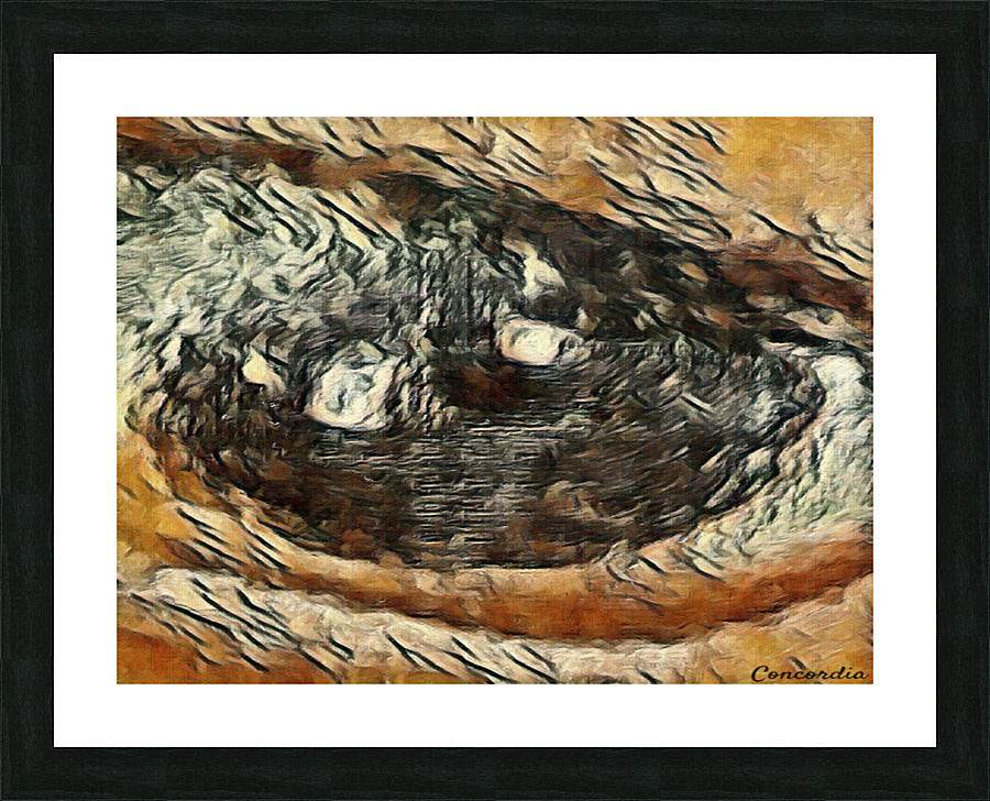 The Eye 2 - Concordia Style Boutique