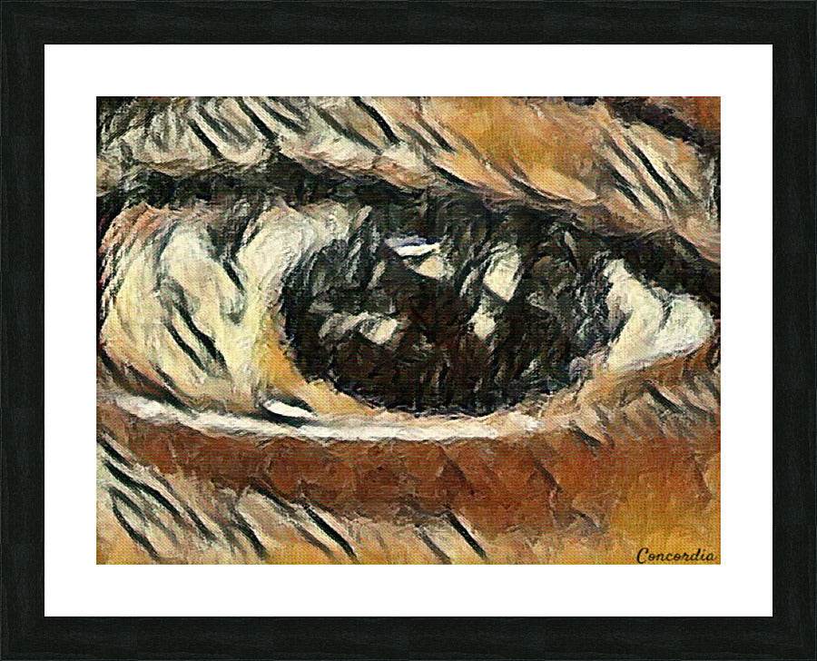 The Eye 4 - Concordia Style Boutique